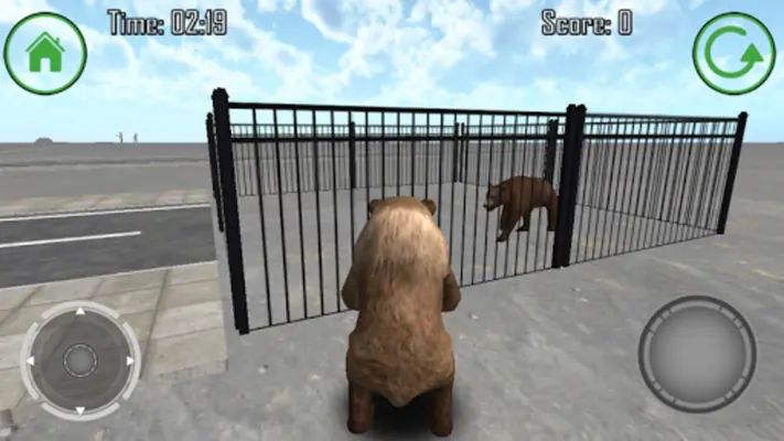 Bear Madness android App screenshot 4